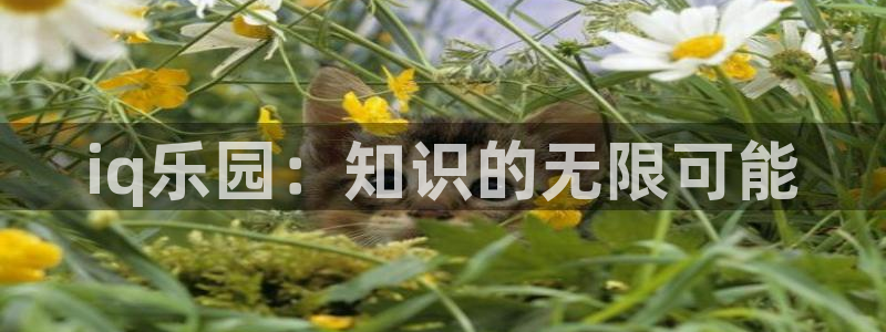 鼎点娱乐登陆地址