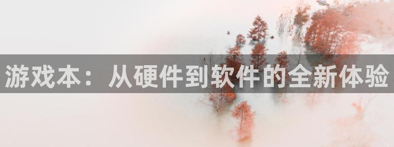 鼎点娱乐直属：游戏本：从硬件到软件的全新体验
