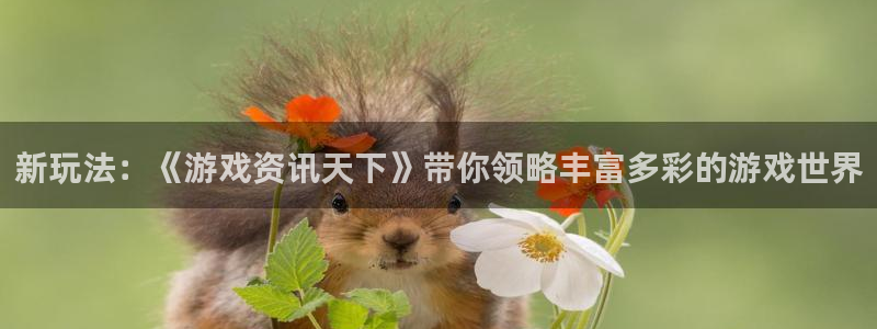 鼎点娱乐网页登录入口官网：新玩法：《游戏资讯天下》带你领略丰