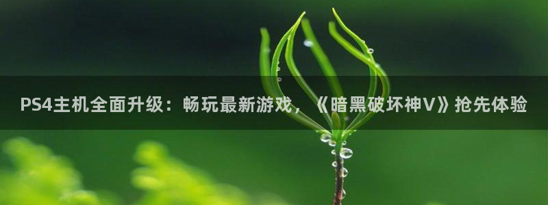 鼎点娱乐测速：PS4主机全面升级：畅玩最新游戏，《暗黑破坏神