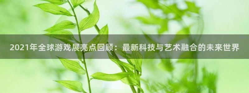 鼎点娱乐注册账号：2021年全球游戏展亮点回顾：最新科技与艺