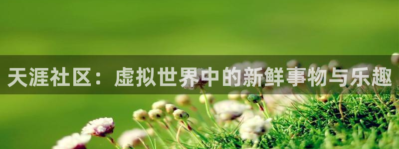 鼎点娱乐手机网页版登录：天涯社区：虚拟世界中的新鲜事物与乐趣