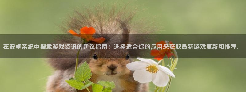 鼎点娱乐4开户：在安卓系统中搜索游戏资讯的建议指南：选择适合