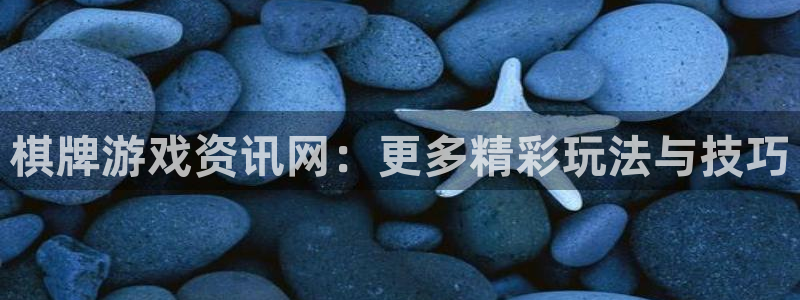 鼎点娱乐测速登陆：棋牌游戏资讯网：更多精彩玩法与技巧