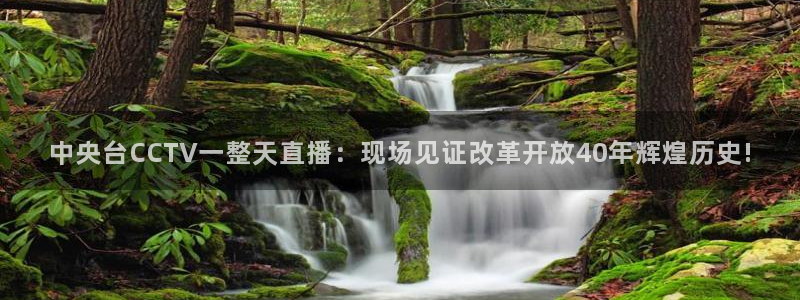 51视频在线直播nba：中央台CCTV一整天直播：现场见证改革开放40年辉煌历史!