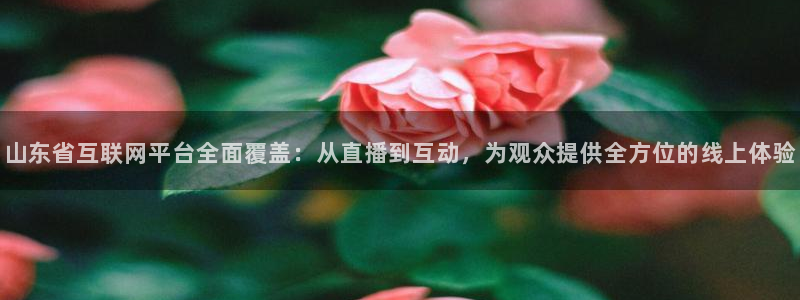 51视频在线直播nba：山东省互联网平台全面覆盖：从直播到互动，为观众提供全方位的线上体验