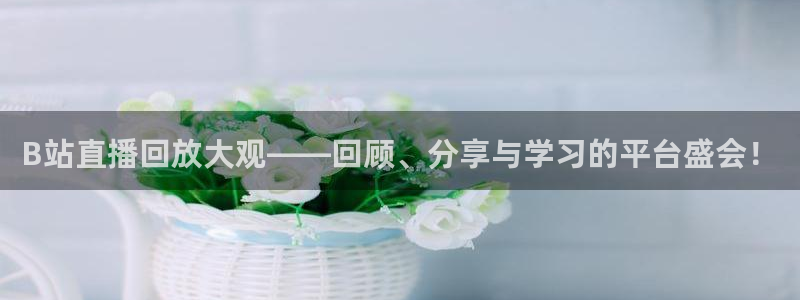 51视频在线直播nba：B站直播回放大观——回顾、分享与学习的平台盛会！