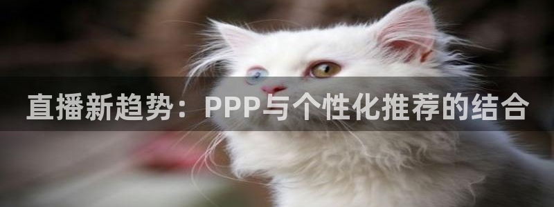 51视频在线直播nba：直播新趋势：PPP与个性化推荐的结合