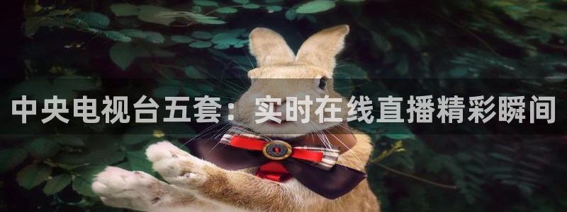 51视频在线直播nba：中央电视台五套：实时在线直播精彩瞬间