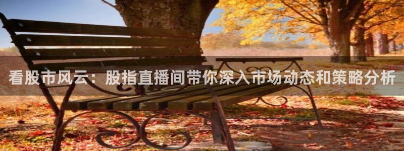 51视频在线直播nba：看股市风云：股指直播间带你深入市场动态和策略分析