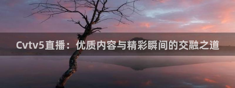 51视频在线直播nba：Cvtv5直播：优质内容与精彩瞬间的交融之道